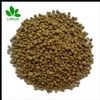 Seabird Guano Phosphate For Organic Fertilizer P2o5 32% Bpl